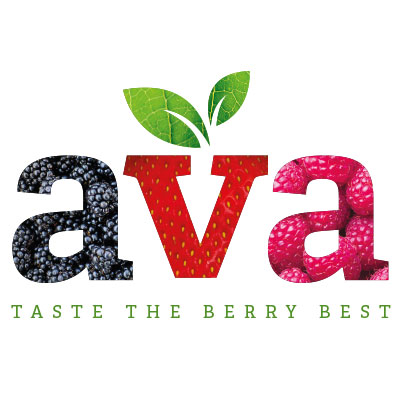 New Client: Ava Berries