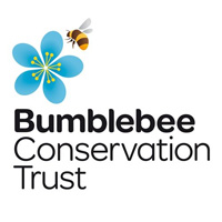 Charity of the Month: Bumblebee Conservation Trust
