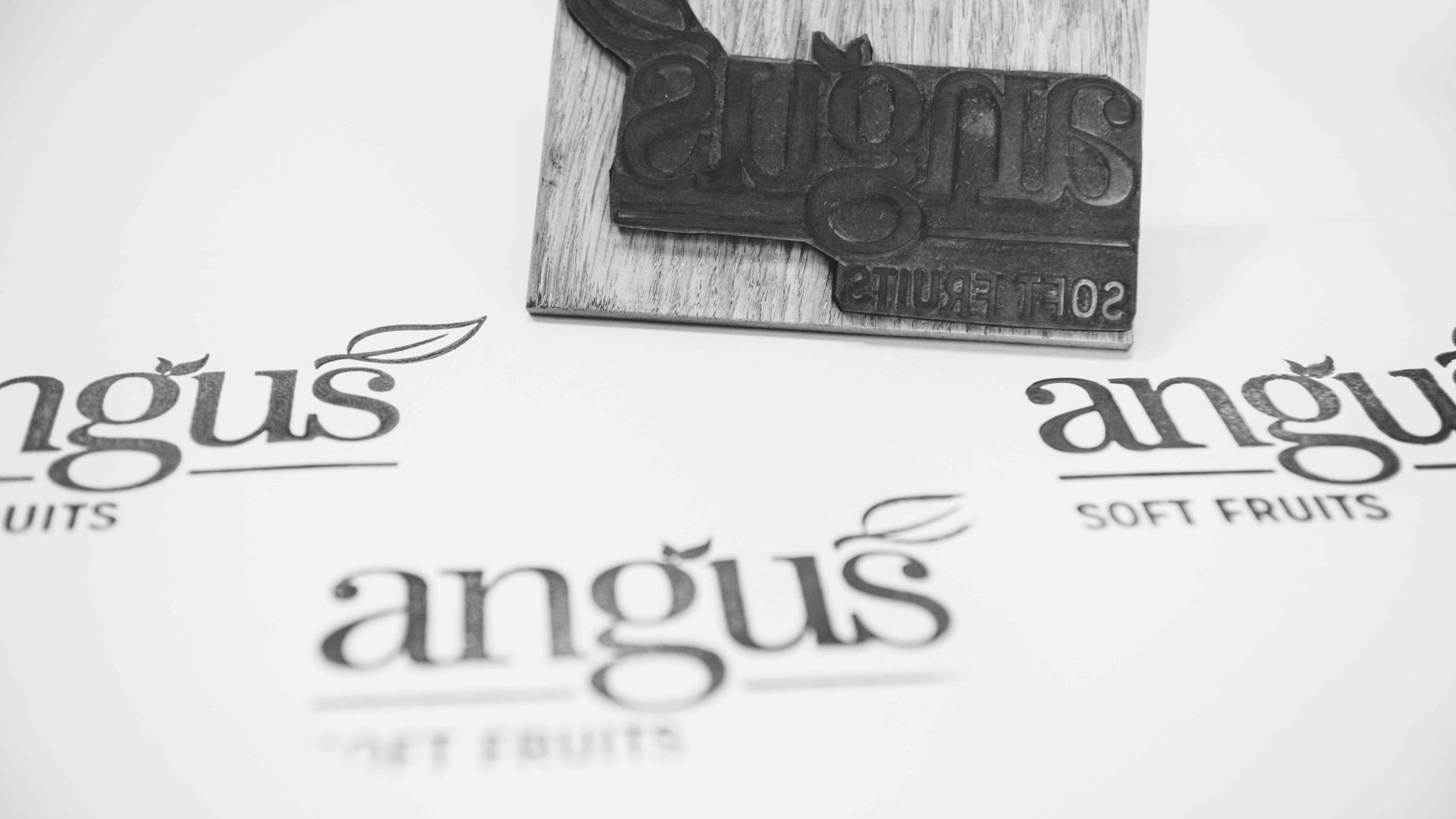 Angus Soft Fruits Exhibition