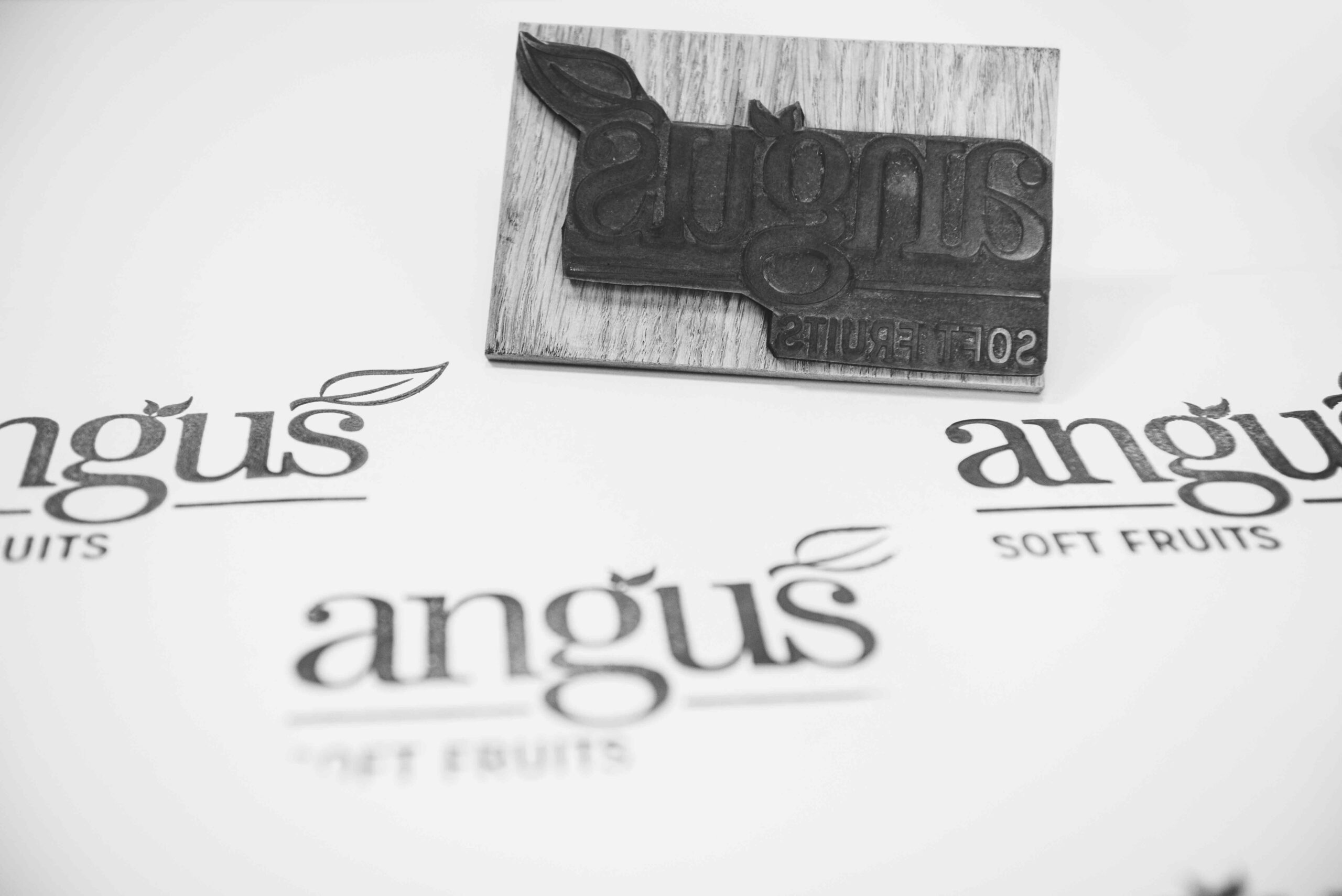 Angus Soft Fruits Exhibition