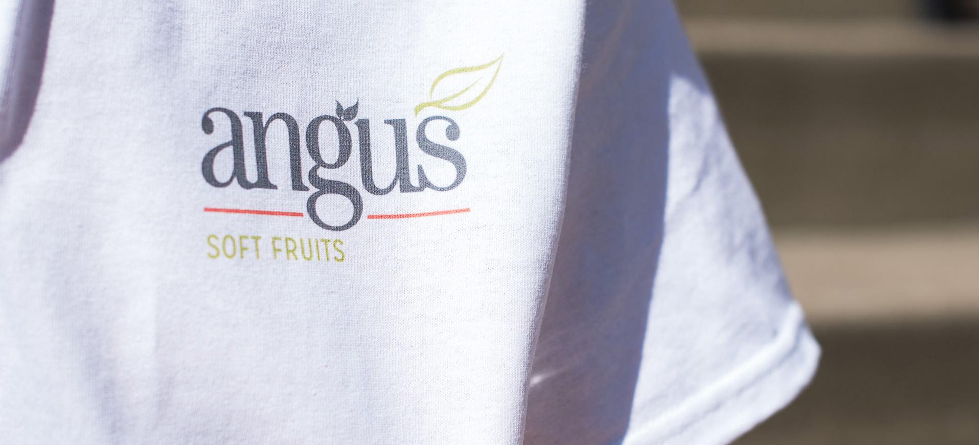 Website Launch &#8211; Angus Soft Fruits